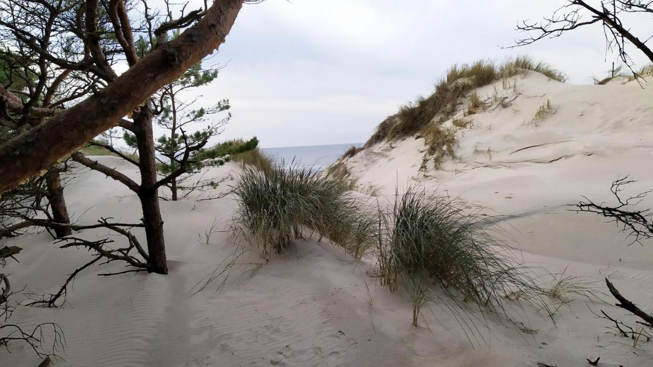 Slowinskie Widoki Domki Flora, Fauna, Noclegi Smoldzinski Las Exterior foto