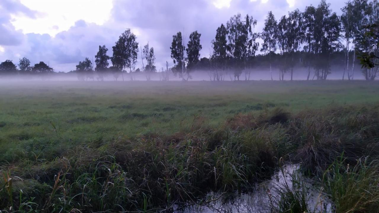 Slowinskie Widoki Domki Flora, Fauna, Noclegi Smoldzinski Las Exterior foto