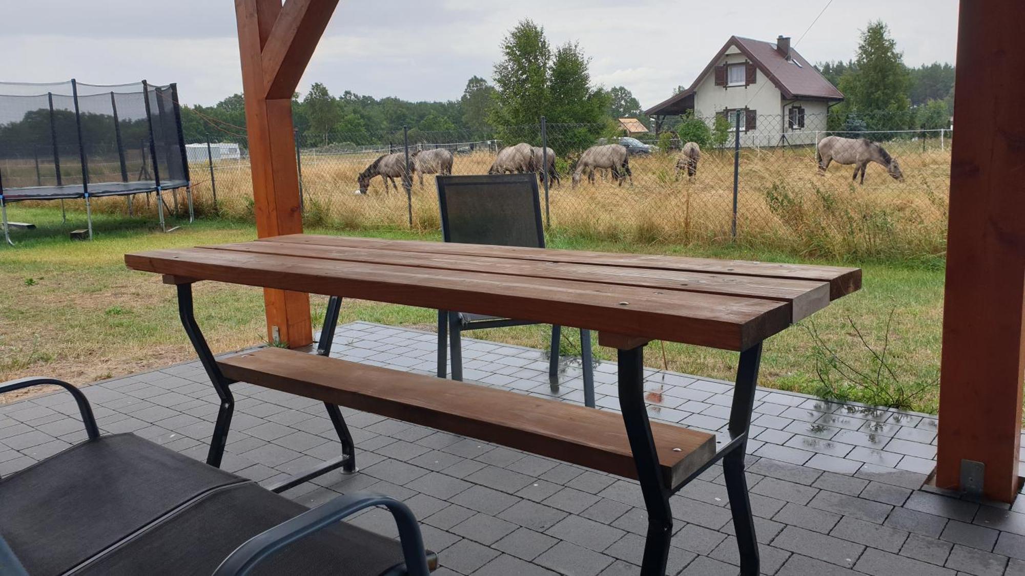 Slowinskie Widoki Domki Flora, Fauna, Noclegi Smoldzinski Las Exterior foto