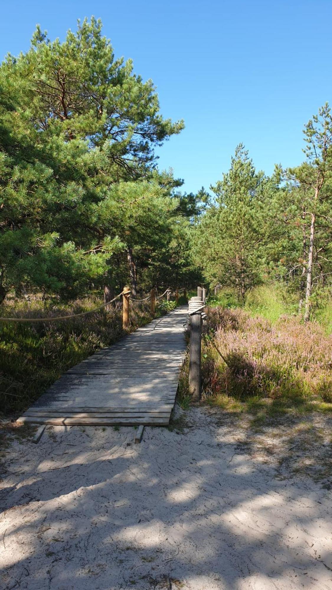 Slowinskie Widoki Domki Flora, Fauna, Noclegi Smoldzinski Las Exterior foto